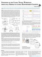 Synaptic epigenesis of the Global Neuronal Workspace